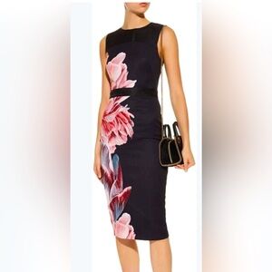 Ted Baker Xanadu Dress sz 0
